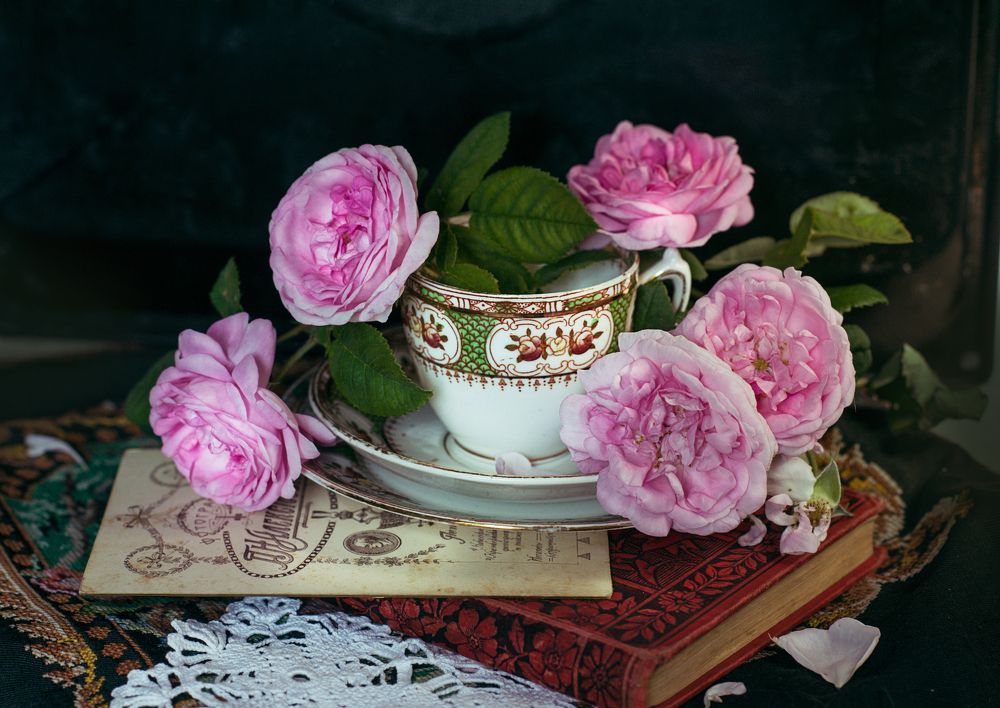 Photograph by Сафронова Любовь