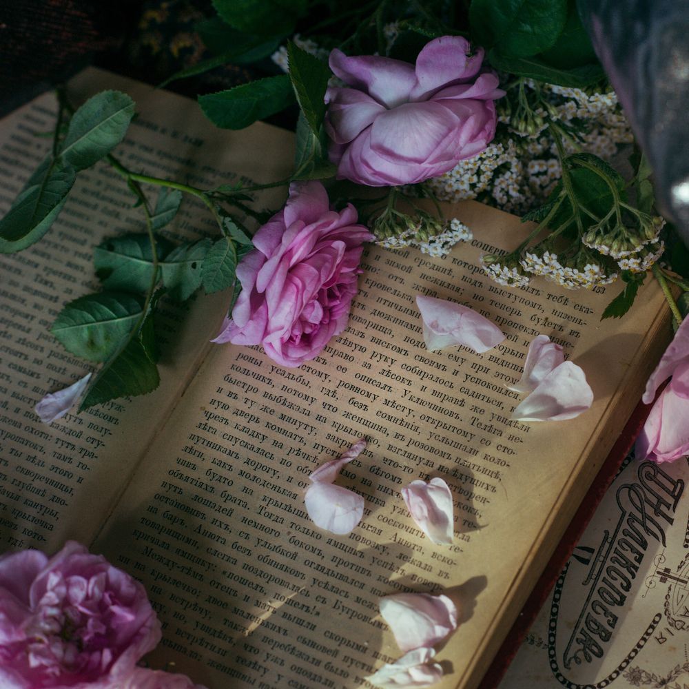Photograph by Сафронова Любовь