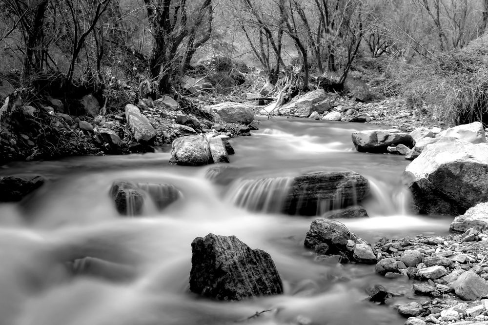 Photograph by Vahid Yavari