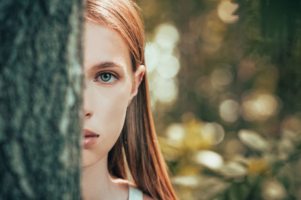 Дыхание леса