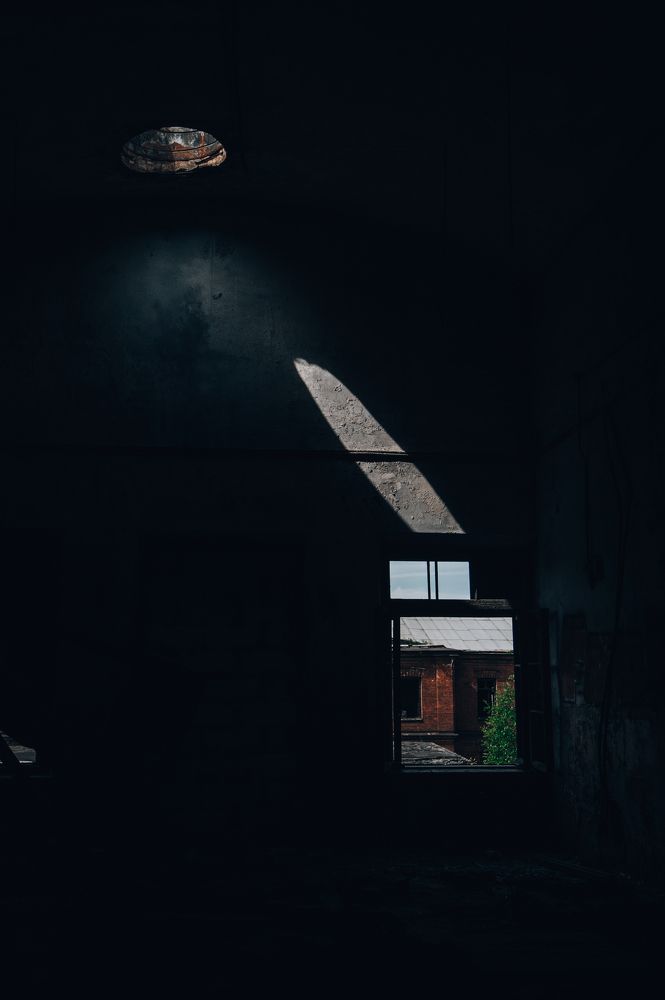 Photograph by Сафронова Любовь