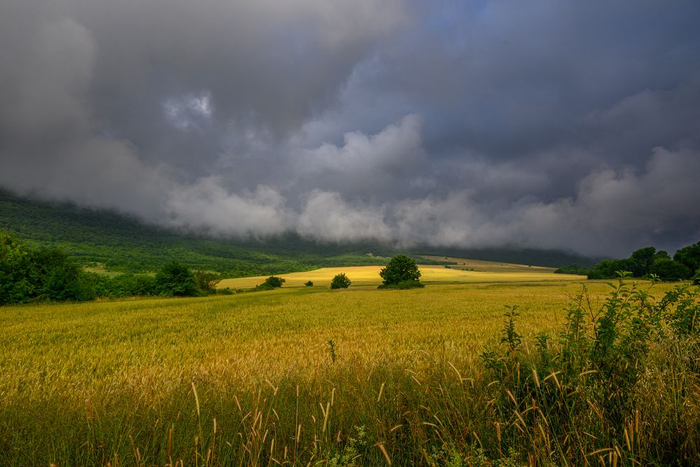 Photograph by Милен Младенов