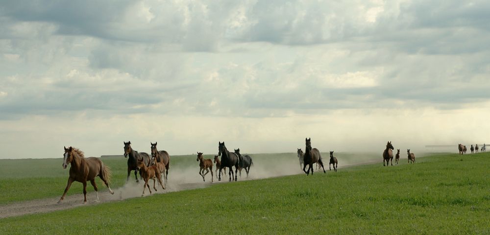 по пыльной дороге.