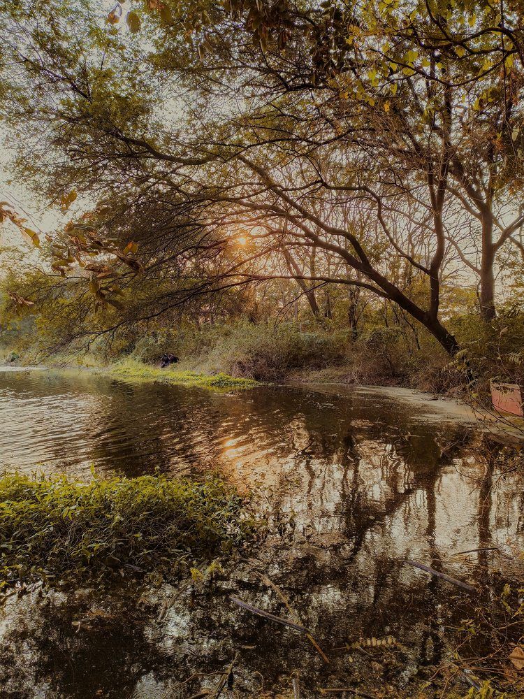 Фотография автора Hardik parekh