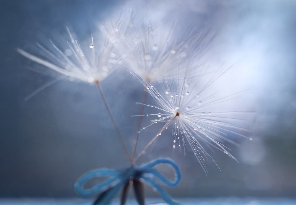 Photograph by Ольга Литвинова