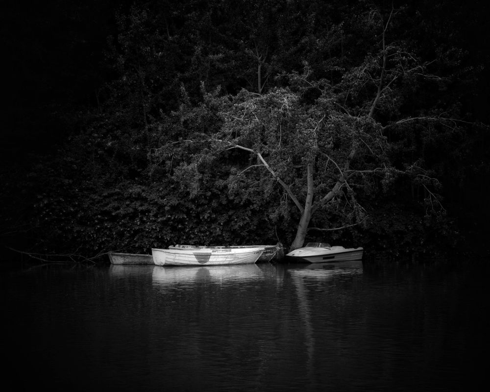 Photograph by José Ramón Domínguez