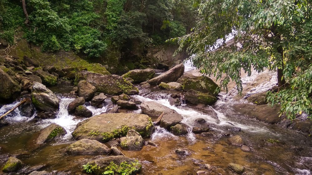 Photograph by Abinesh