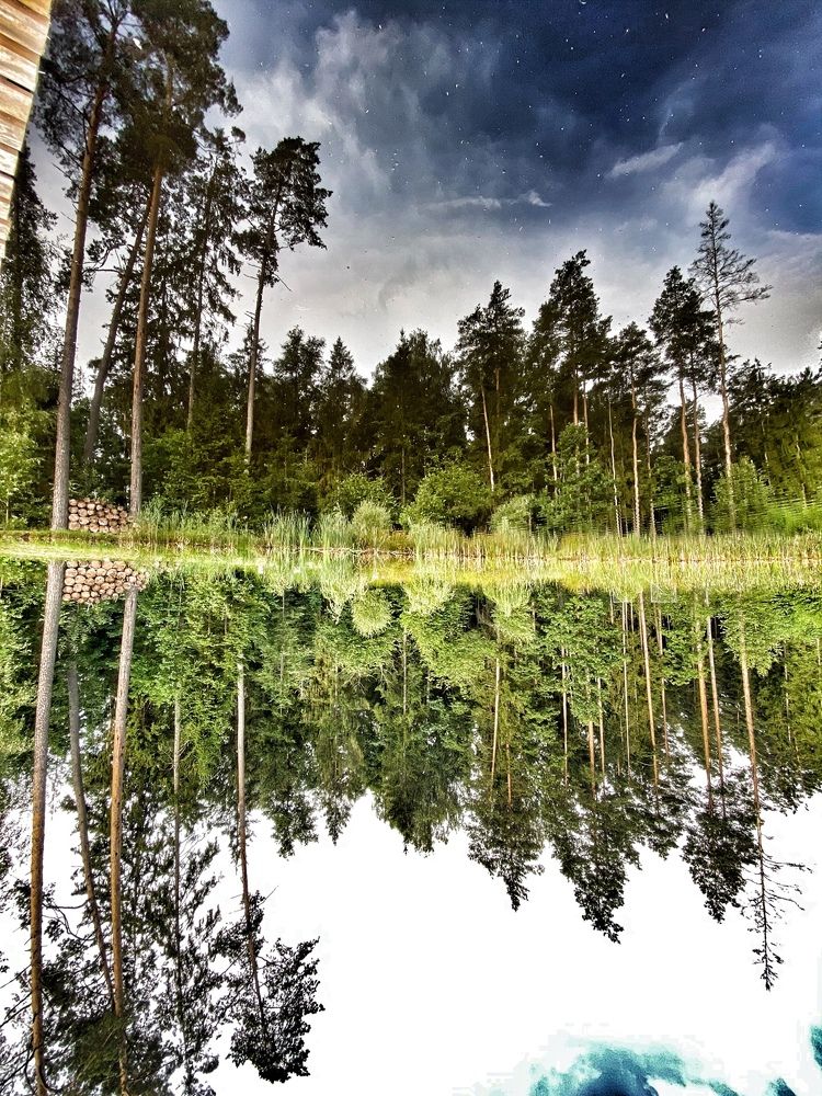 Photograph by Яна Бондарчук