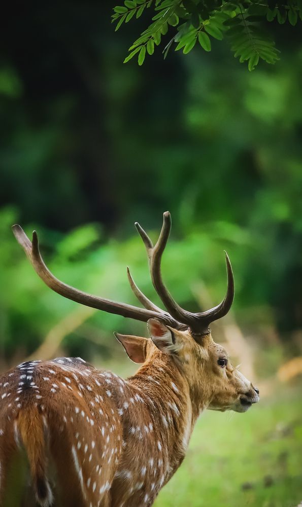 Photograph by Puja Dey