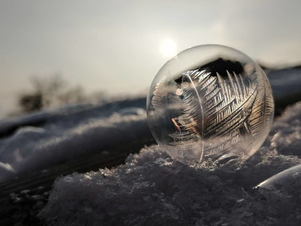 Photograph by Надежда Алешечкина