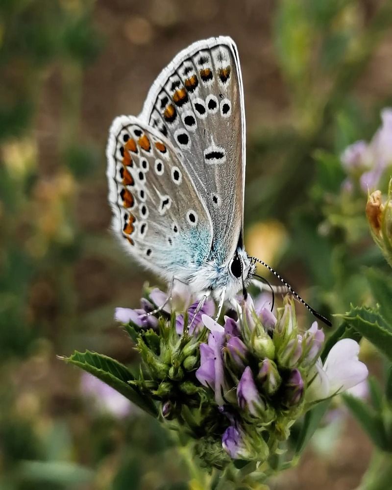 Photograph by Надежда Алешечкина