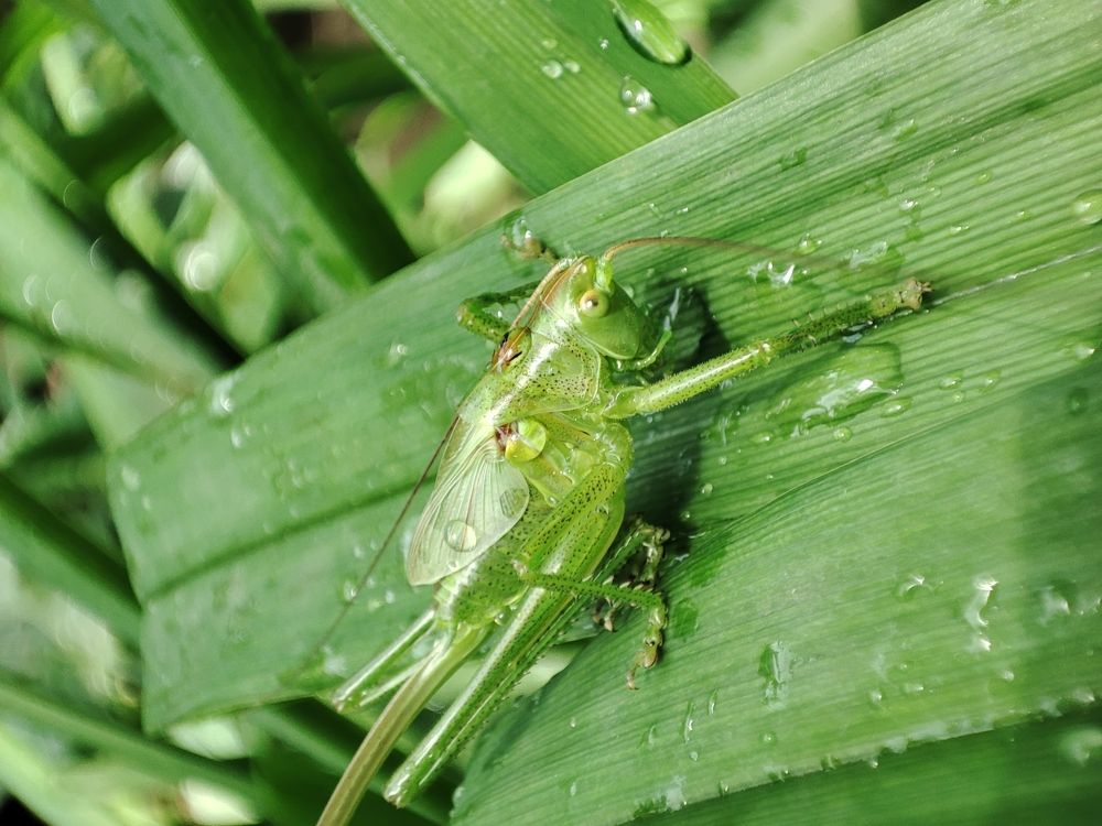 Photograph by Ирина Шевчук