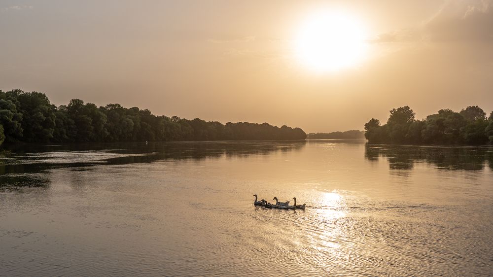 Photograph by Алексей Горбунов