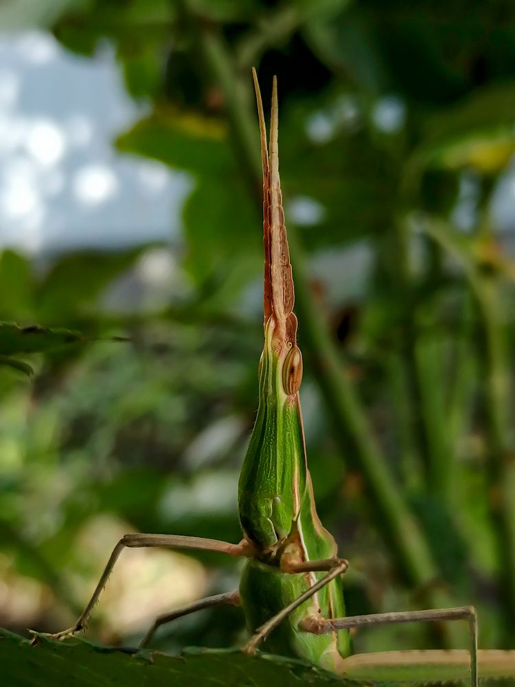 Photograph by Надежда Алешечкина