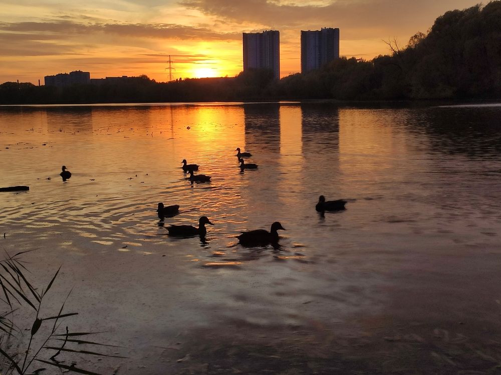 Photograph by Светлана Полякова