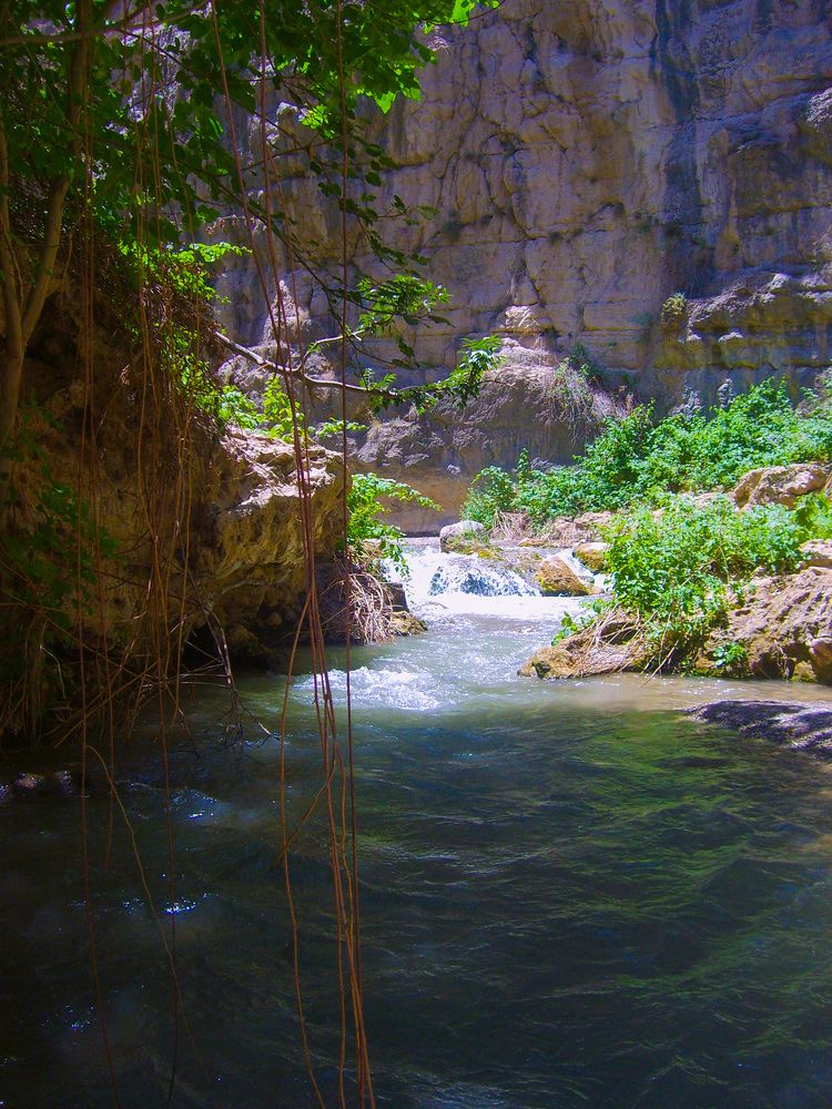 Photograph by Лариса Фомина