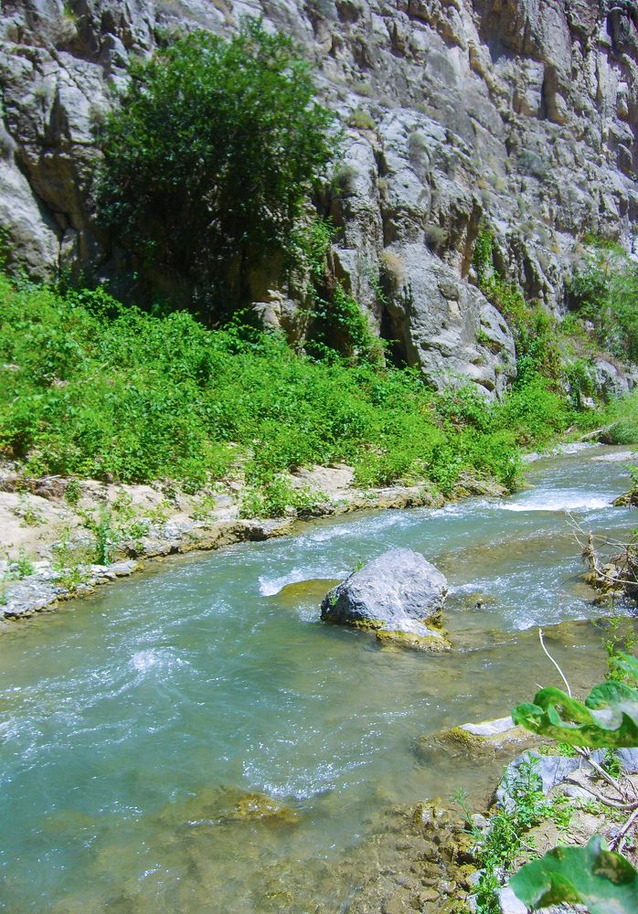 Photograph by Лариса Фомина