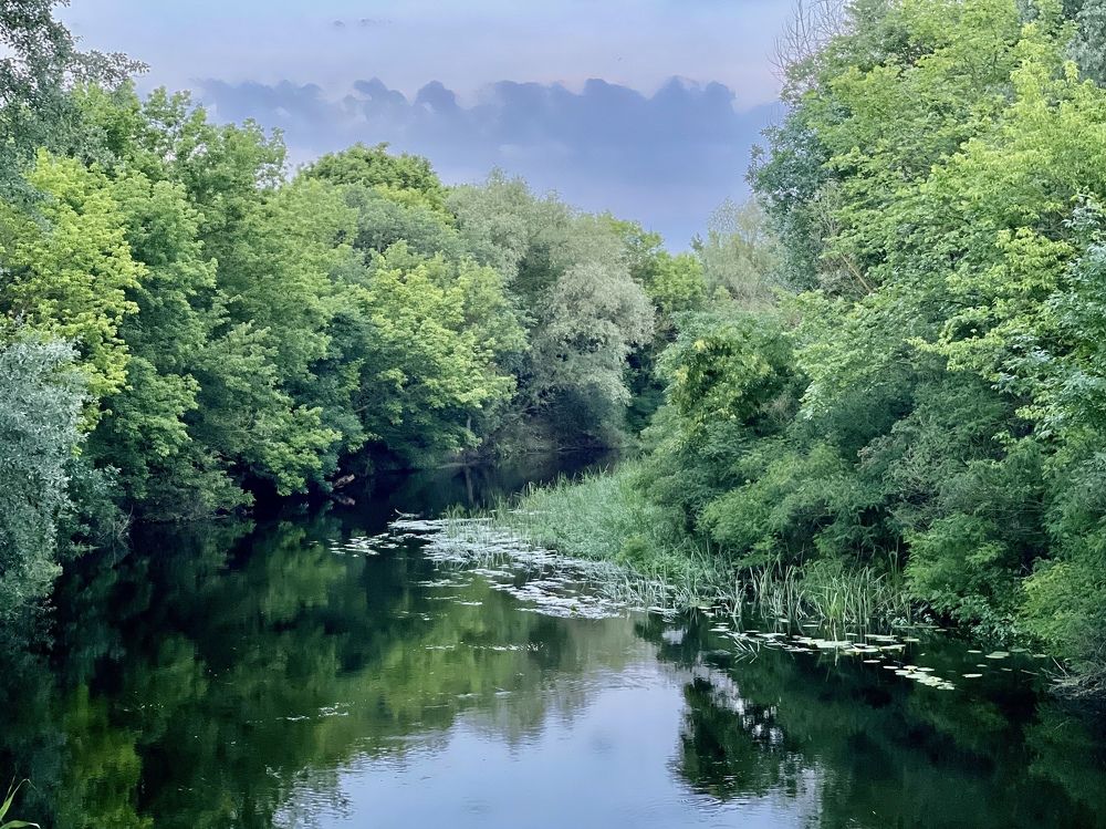 Photograph by Светлана Ткаченко