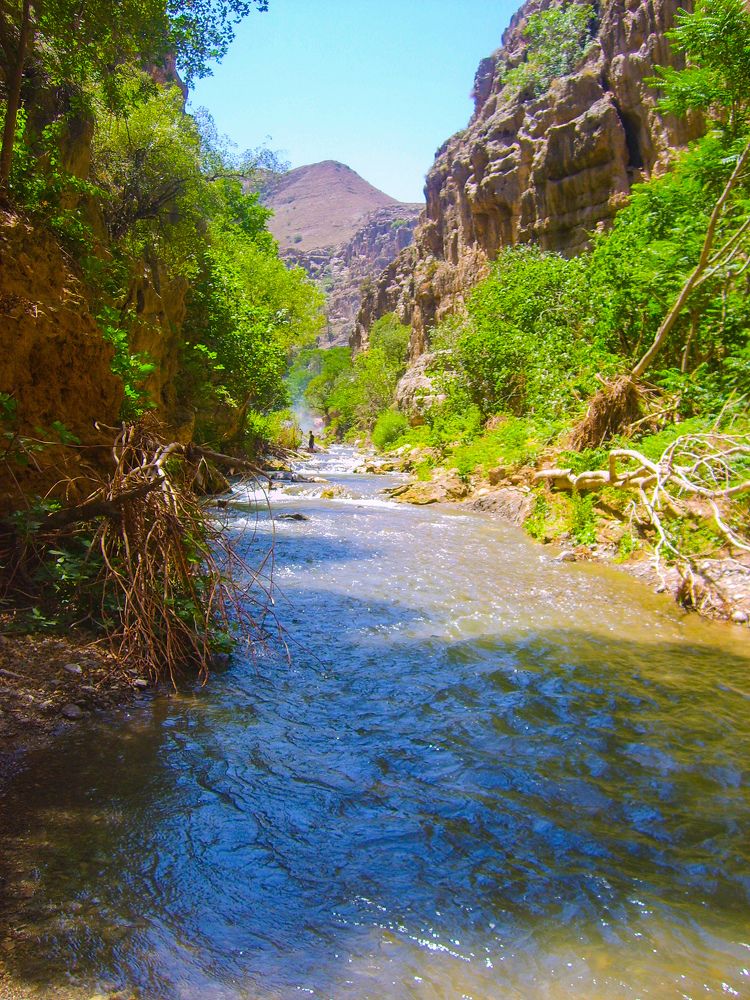 Photograph by Лариса Фомина