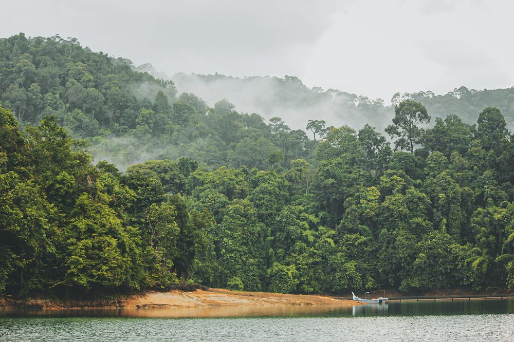 Pedu Lake