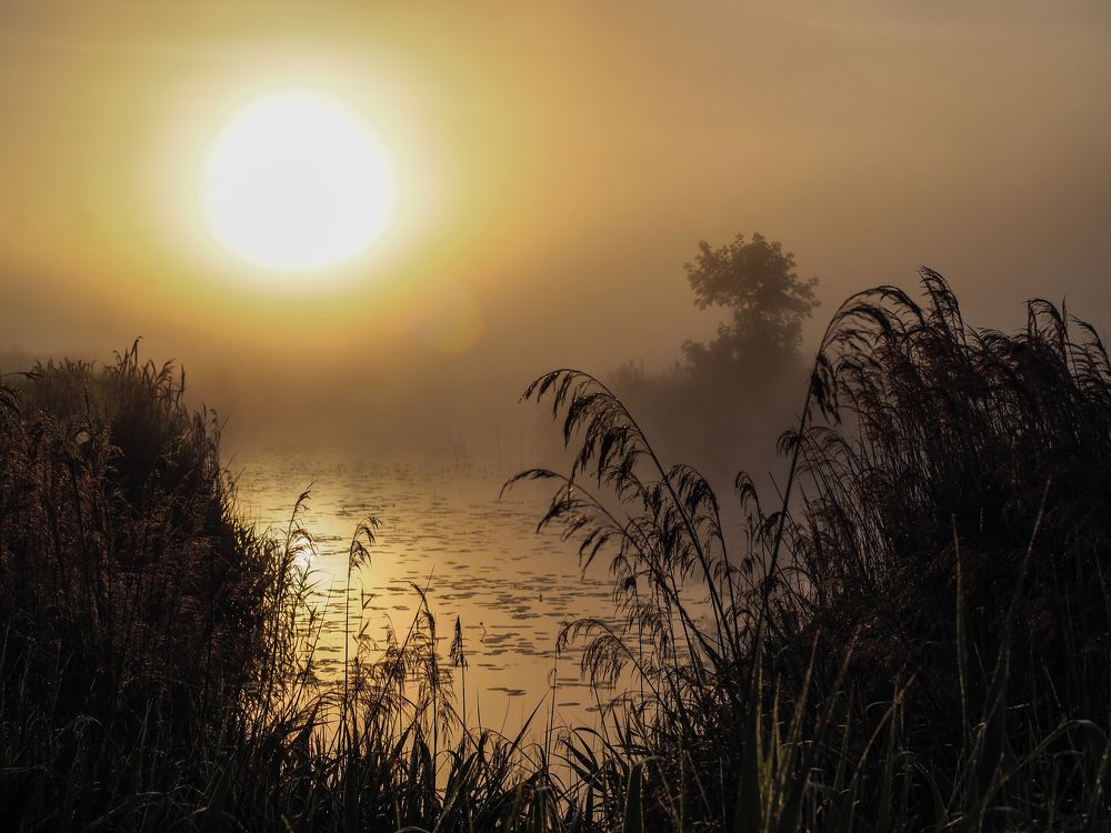 Июньский рассвет.