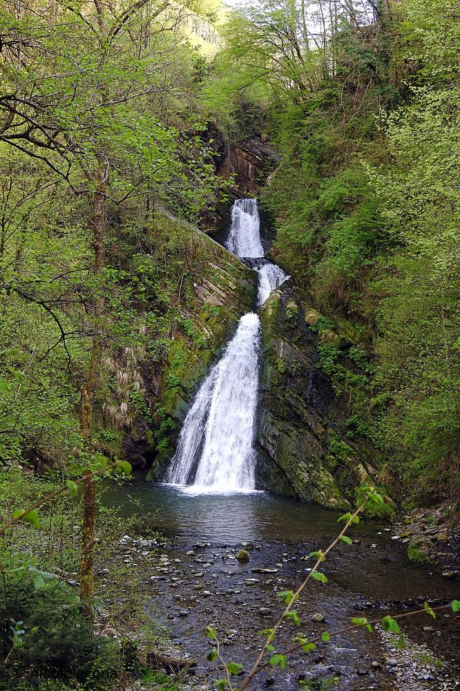 Фотография автора Nicolò Lagona