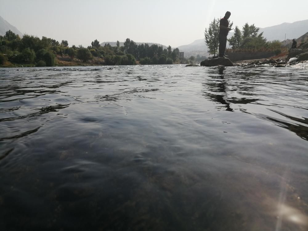 Фотография автора Bahaaddin Saber