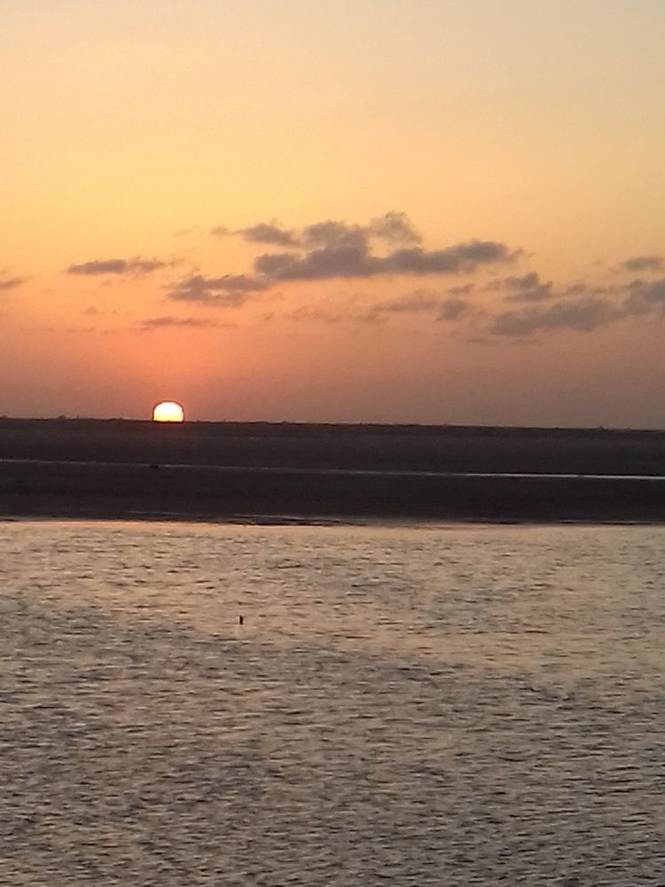 Photo #6232988