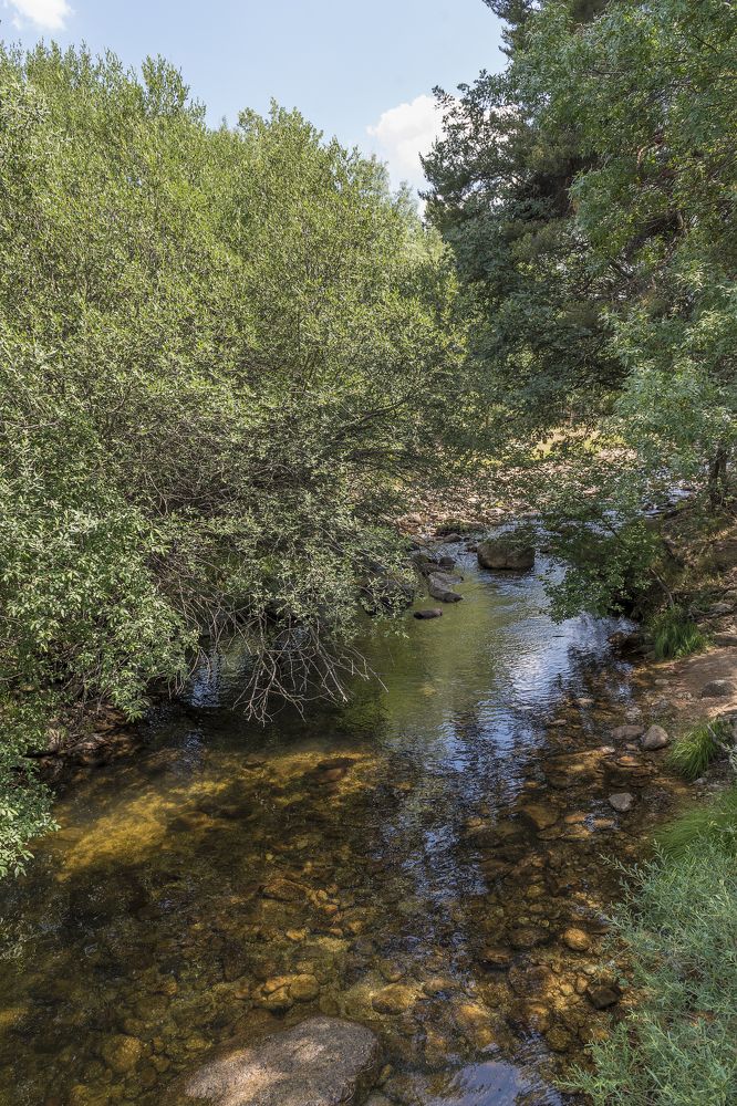 Photograph by Marcos Contreras Ortiz