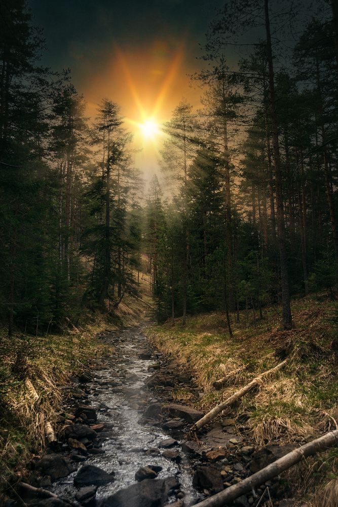 Photograph by ivan ilijevski