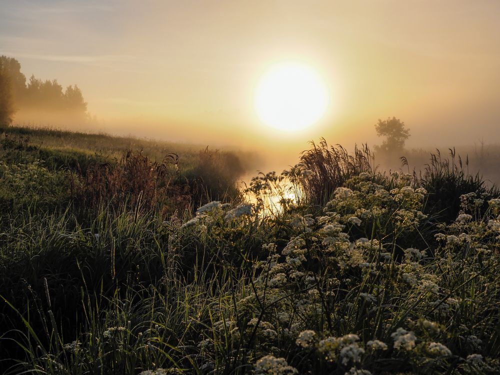 Июньский рассвет.
