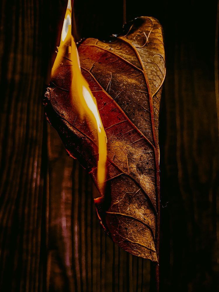 Photograph by Rene Jhun Rosales