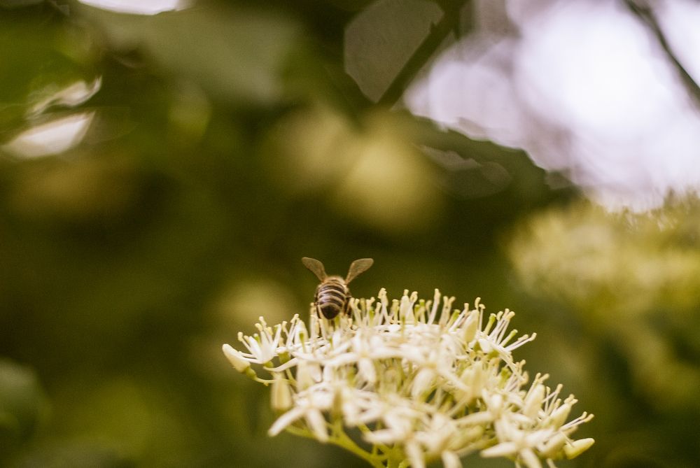 Photograph by Анна Людера