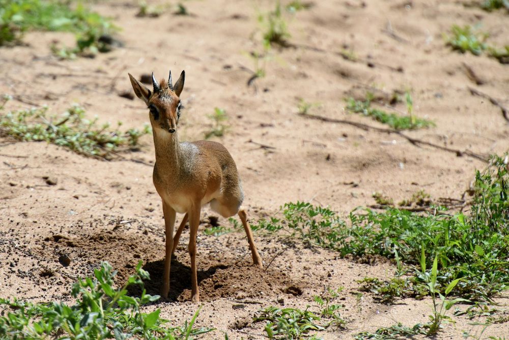 Photograph by Наталья Ляшенко