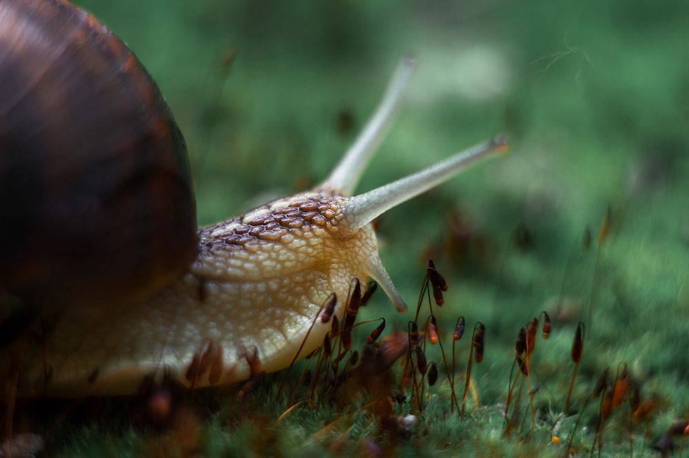 Photograph by Евгения Кинжакова