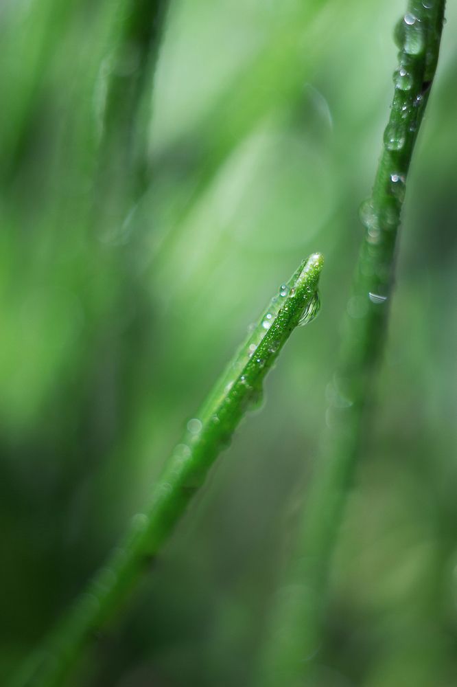 Photograph by Евгения Кинжакова