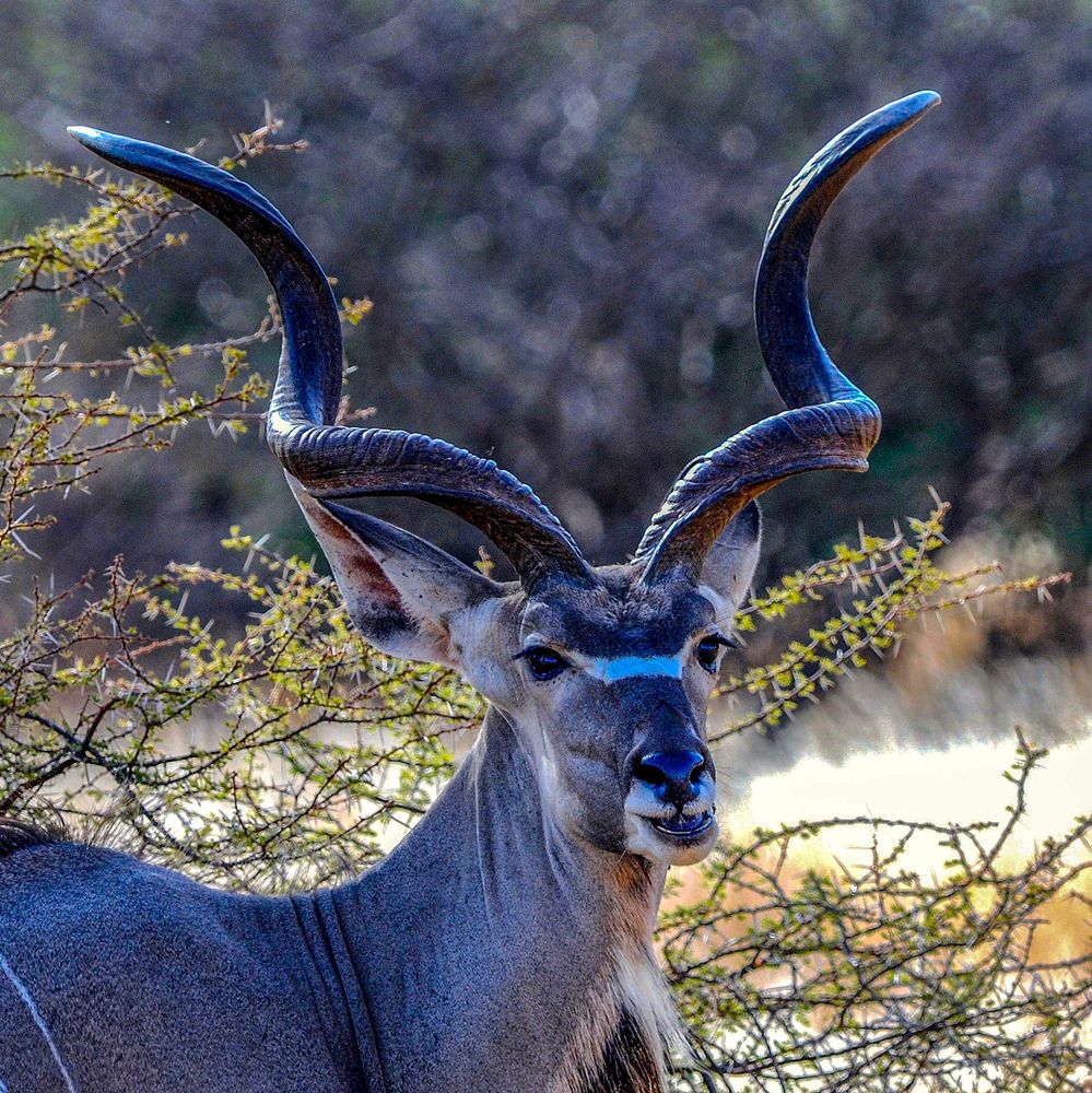 Photograph by Ricardo Ubico