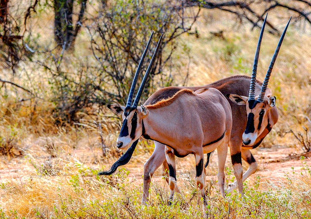 Photograph by Ricardo Ubico