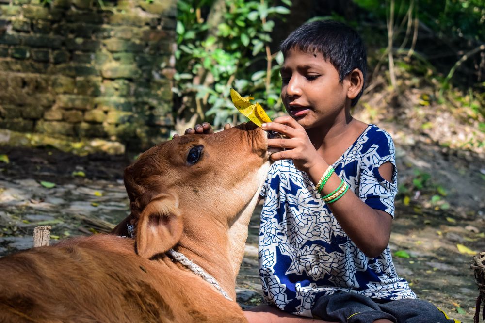 Photograph by Harkesh Kumar