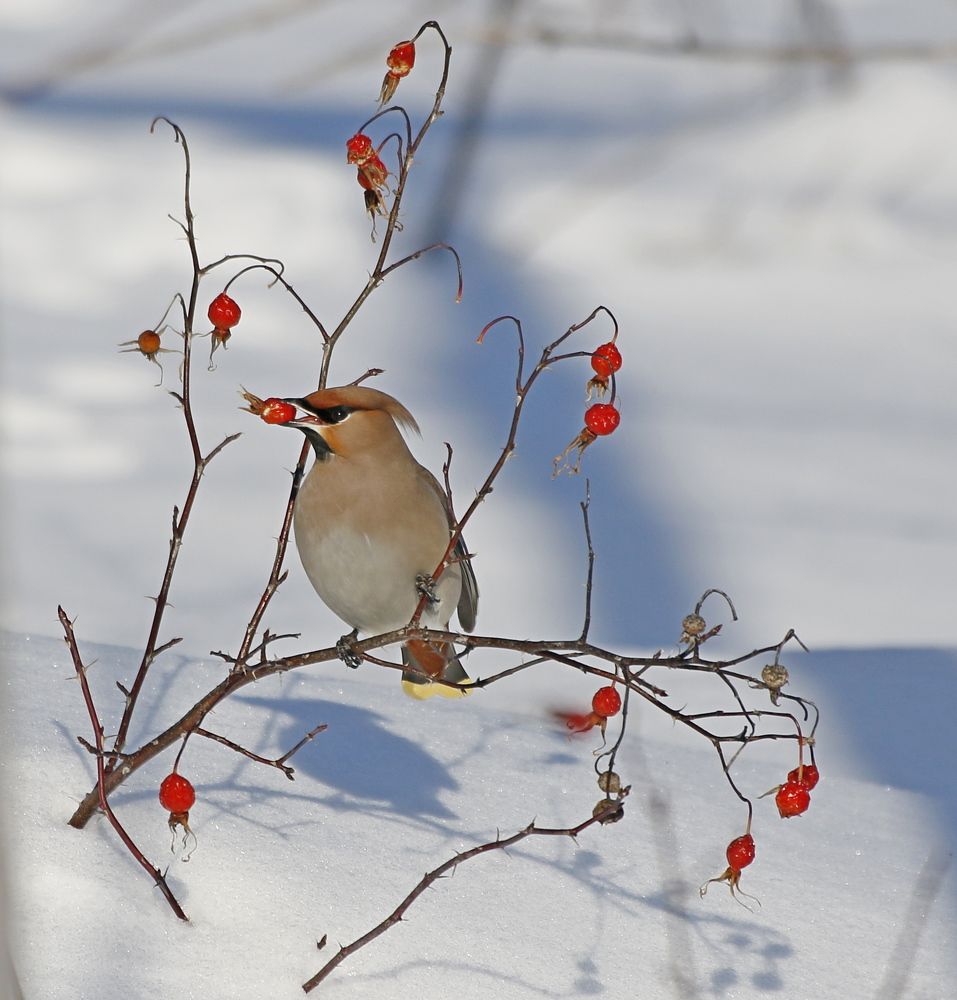 Photograph by Наталья Турчик