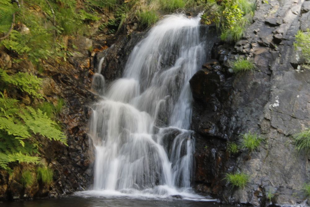 Photograph by Francisco Ferreira