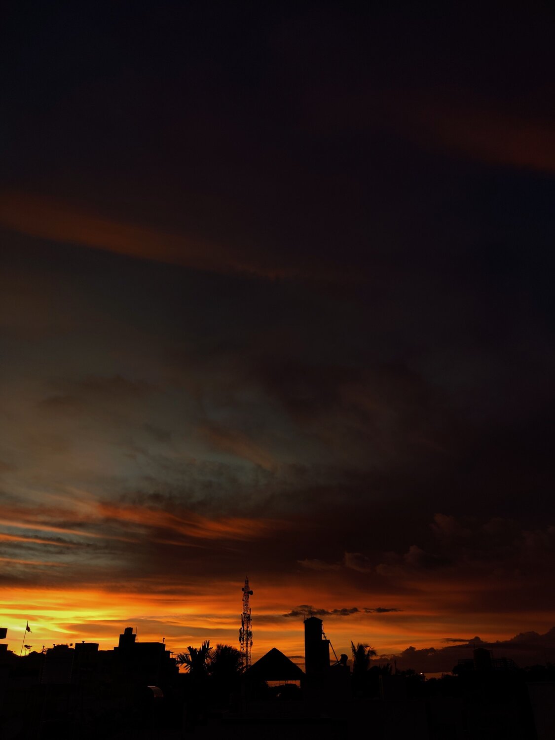 Photo #6233454