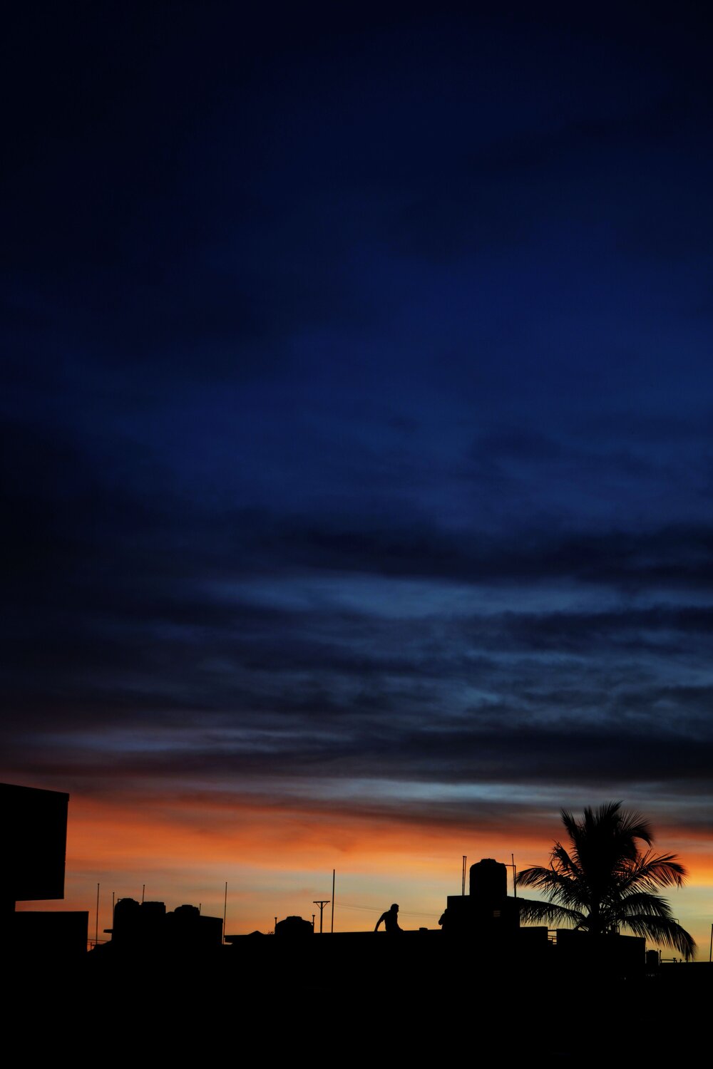 Photo #6233455