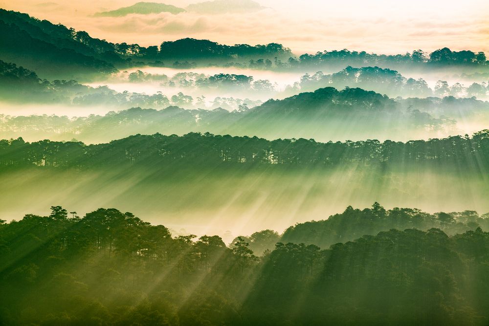 Photograph by Van Nguyen