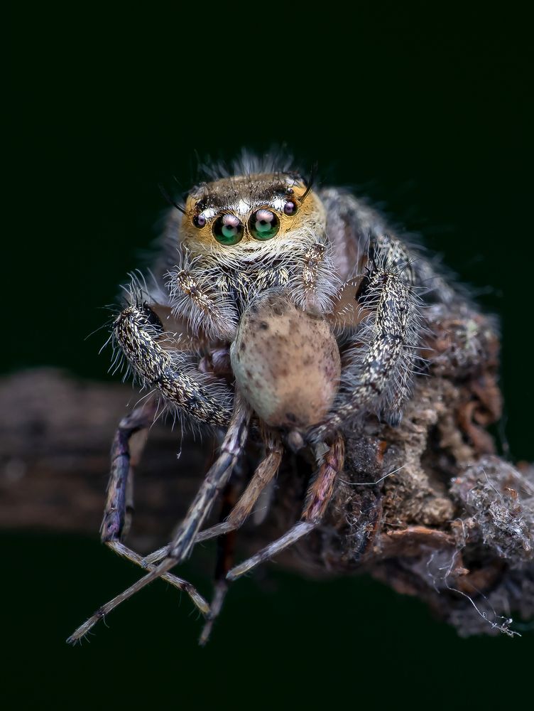 Photograph by Shuvam Sadhukhan