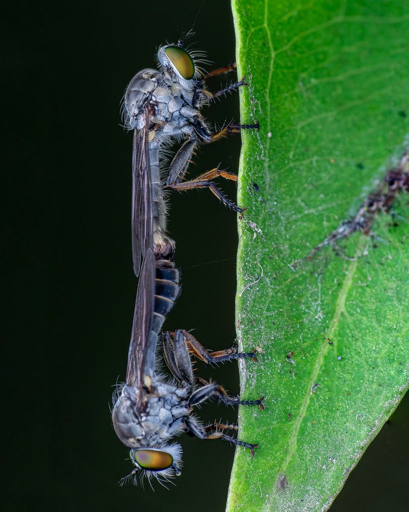 Photograph by Shuvam Sadhukhan