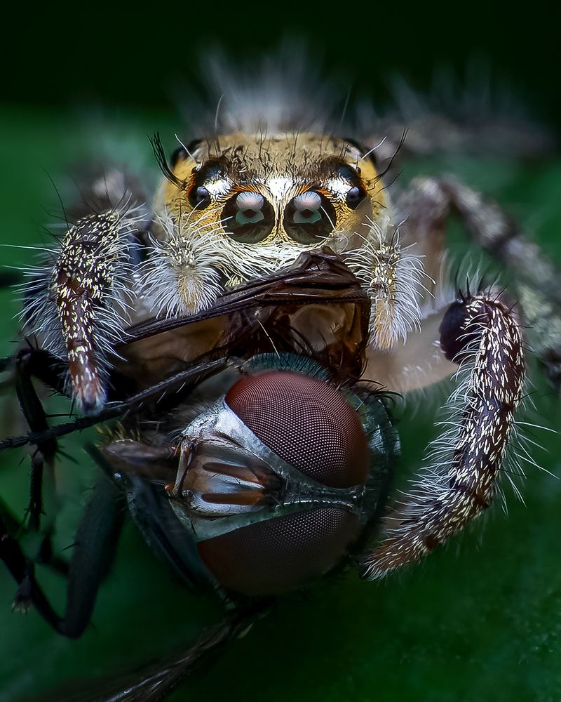 Photograph by Shuvam Sadhukhan