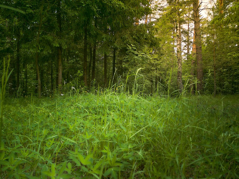 Photograph by Сергей Горелов