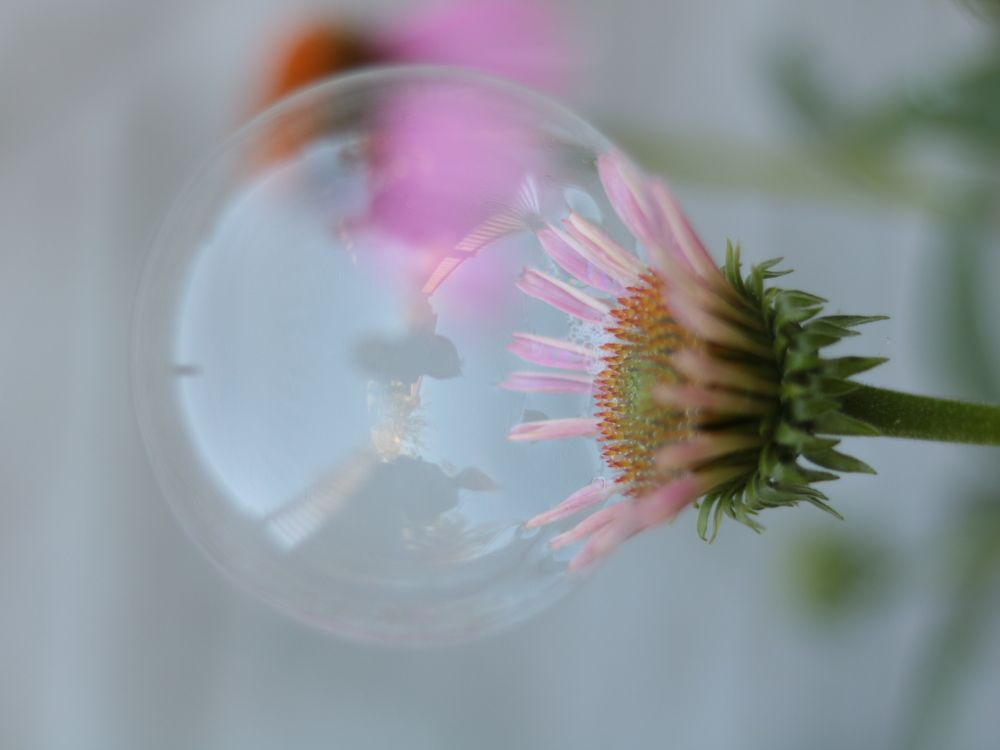 Photograph by Юлия Панова