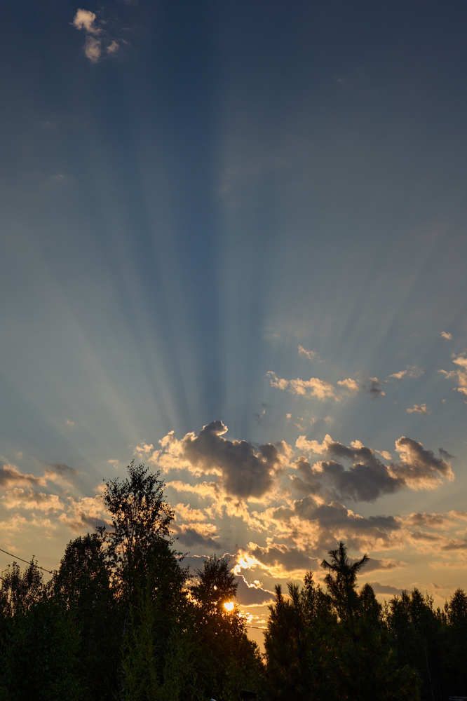 Photograph by Алексей Тишин